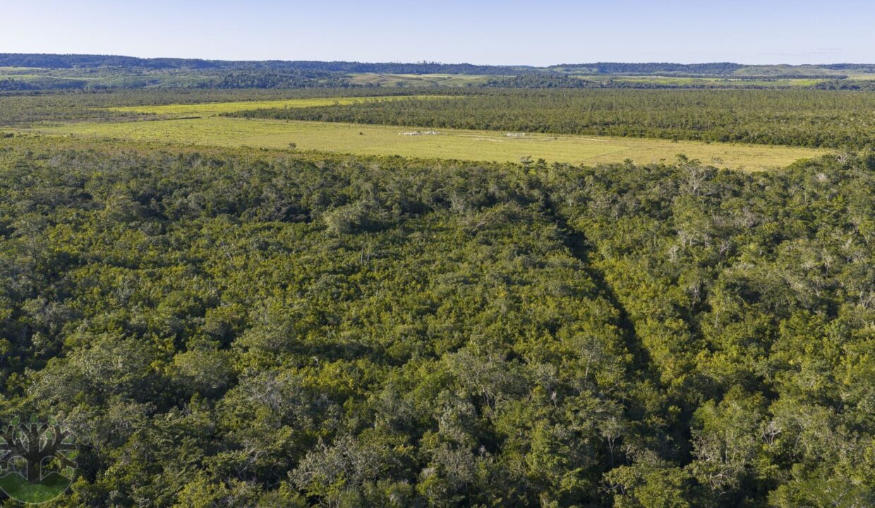 DJI_20260202163039_0870_D