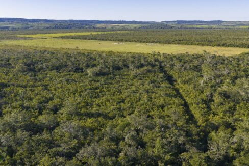 DJI_20260202163039_0870_D