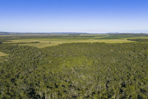 DJI_20260202163113_0872_D