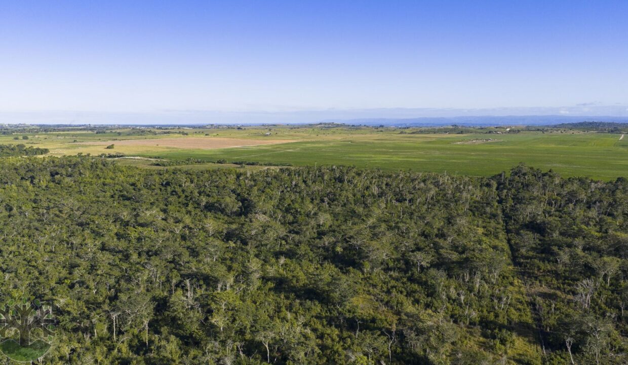 DJI_20260202163115_0873_D