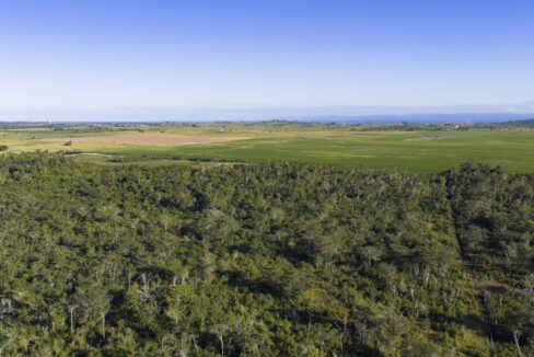 DJI_20260202163115_0873_D