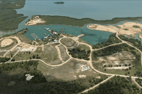 Sapodilla-March-2026-12