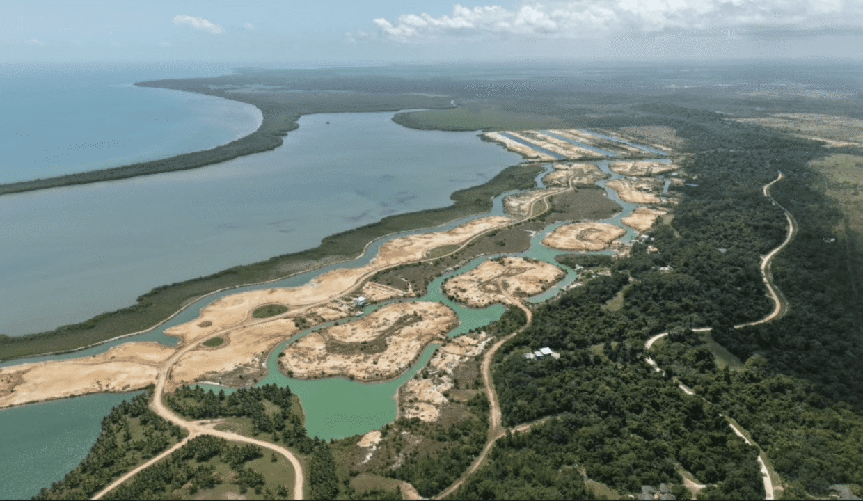 Sapodilla-March-2026-14