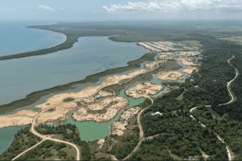 Sapodilla-March-2026-14