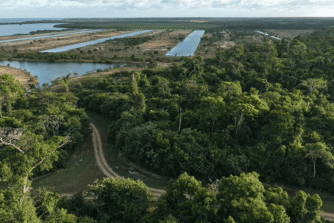 Sapodilla-March-2026-24