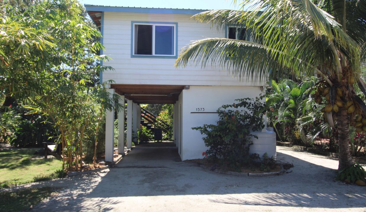 image (1)