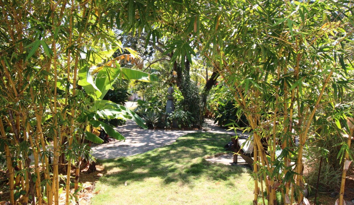 image (6)