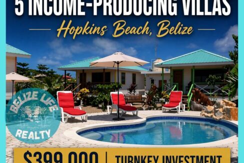 5 Vibrant Vacation Villas infograph