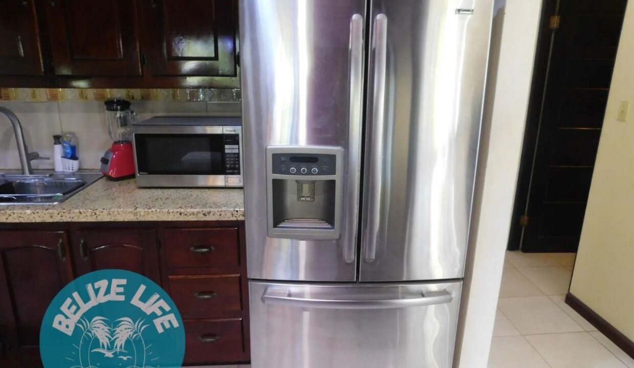 Dream House Oasis Biscayne Belize Fridge kitchen