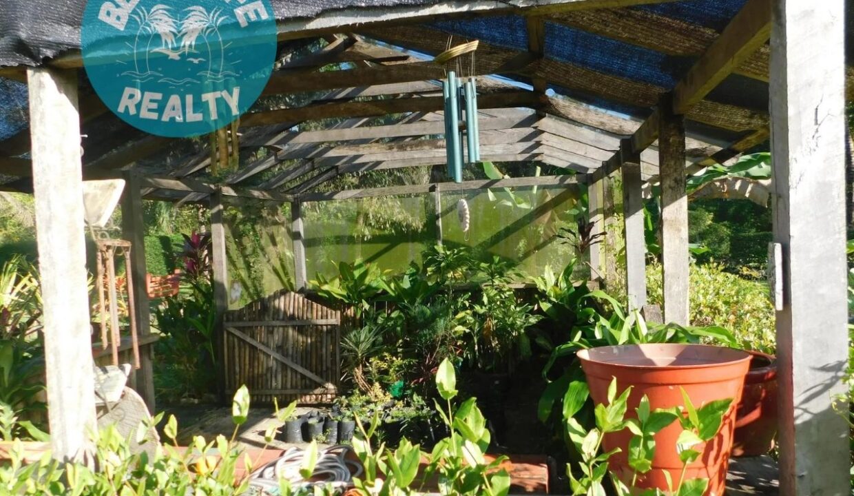 Dream House Oasis Biscayne Belize Green house