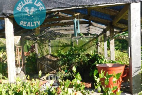 Dream House Oasis Biscayne Belize Green house