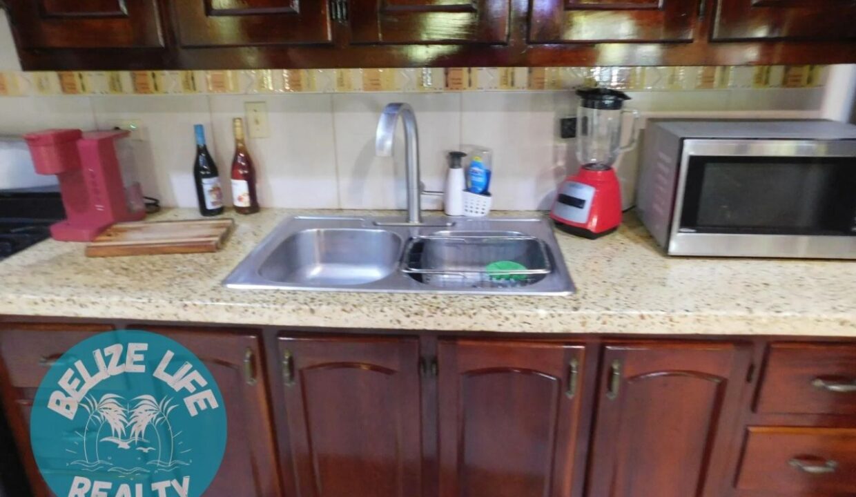 Dream House Oasis Biscayne Belize Kitchen1
