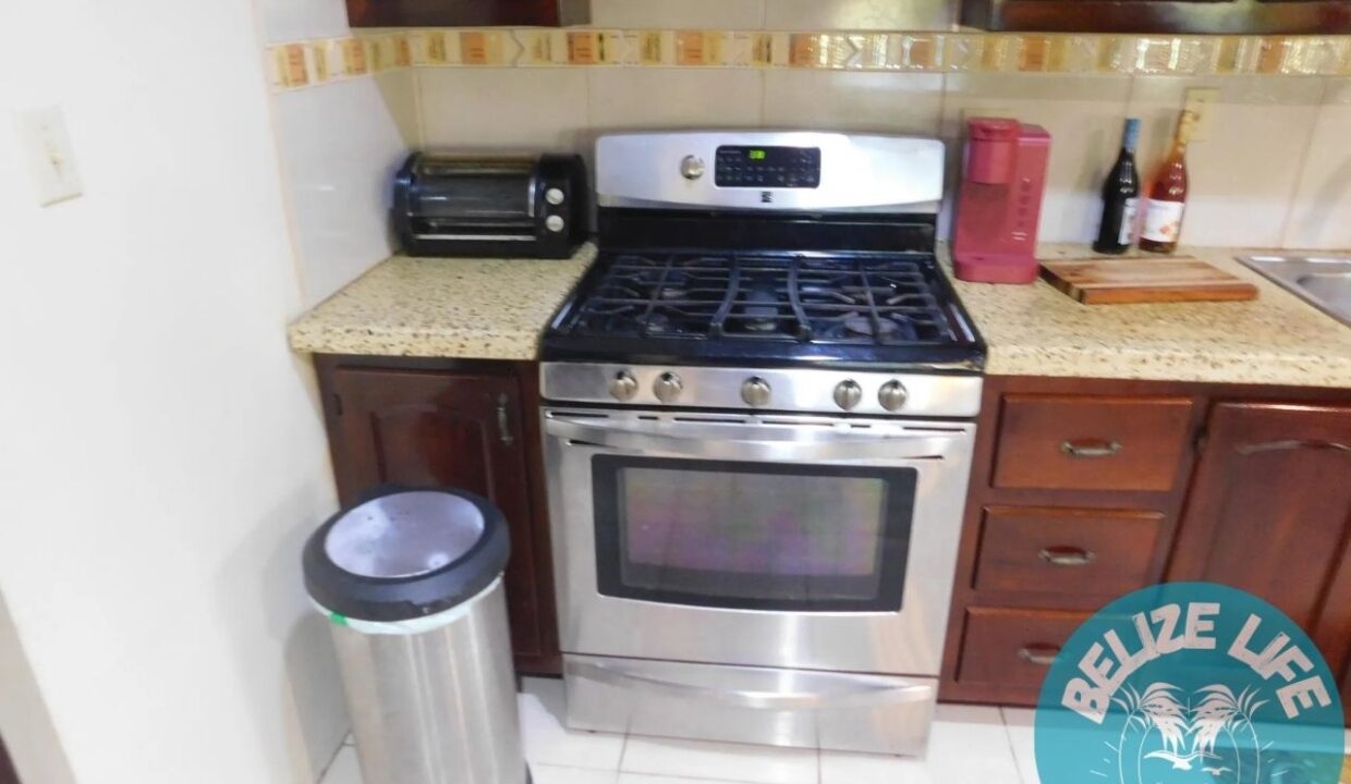 Dream House Oasis Biscayne Belize Stove