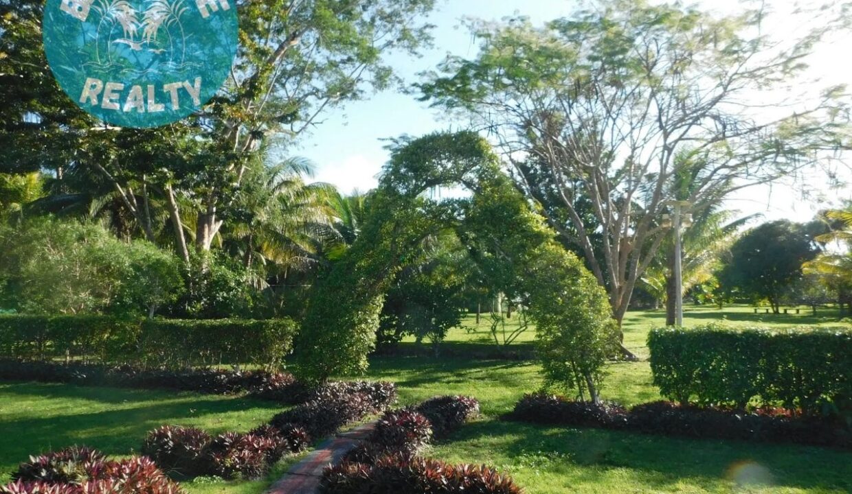 Dream House Oasis Biscayne Belize back yard 1