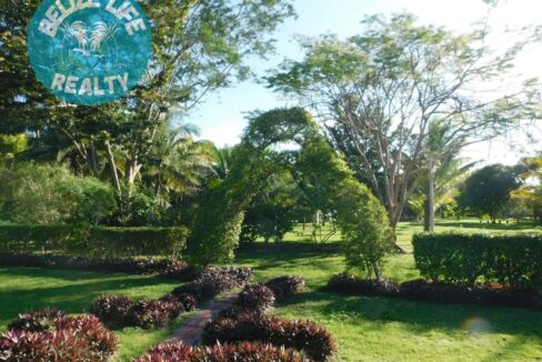 Dream House Oasis Biscayne Belize back yard 1