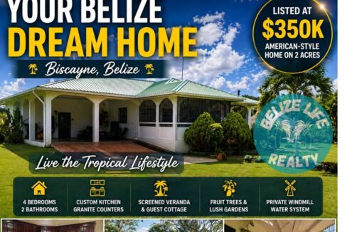 Dream House Oasis Biscayne Belize infographic