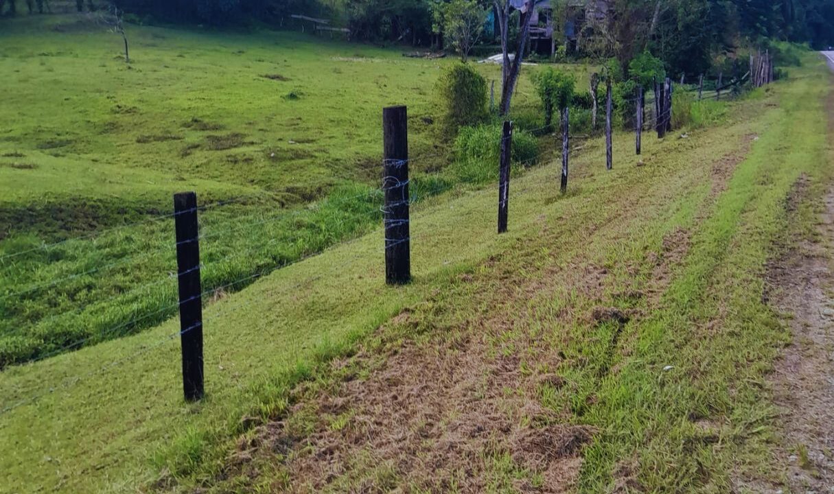 Tranquil Acreage fenced property