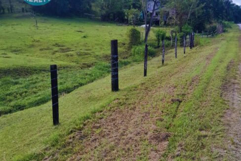 Tranquil Acreage fenced property