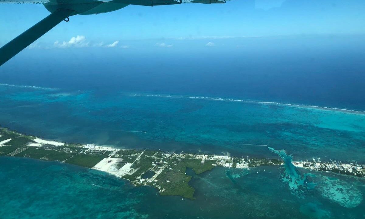 What are the airlines that fly to Belize