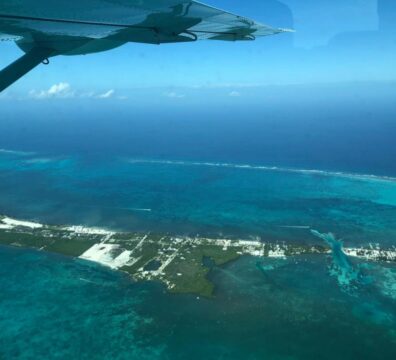 What are the airlines that fly to Belize