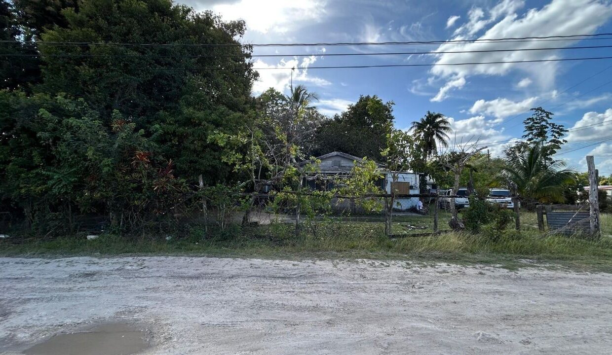 100014354004-69b8a230ebee5
