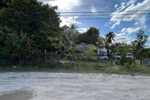 100014354004-69b8a230ebee5