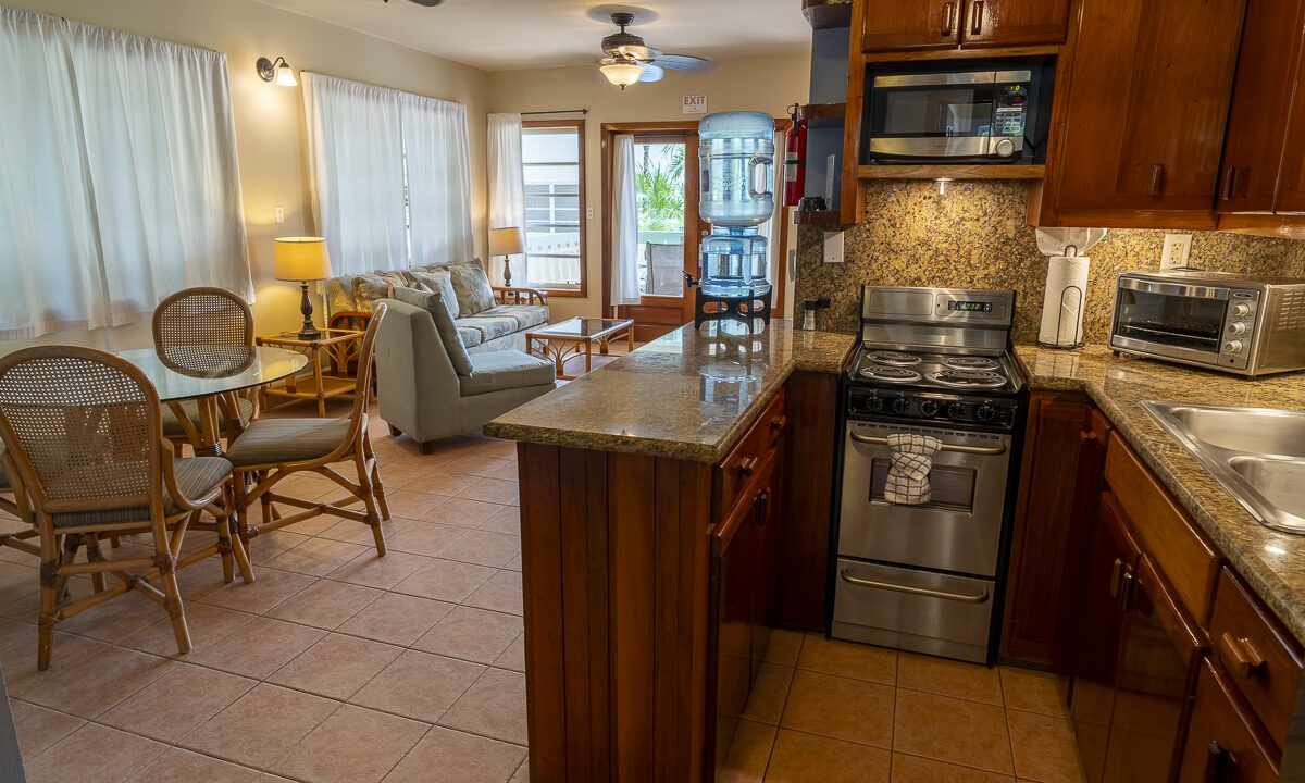 12-Kitchen-Full-Living-Space_web
