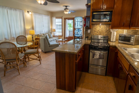 12-Kitchen-Full-Living-Space_web