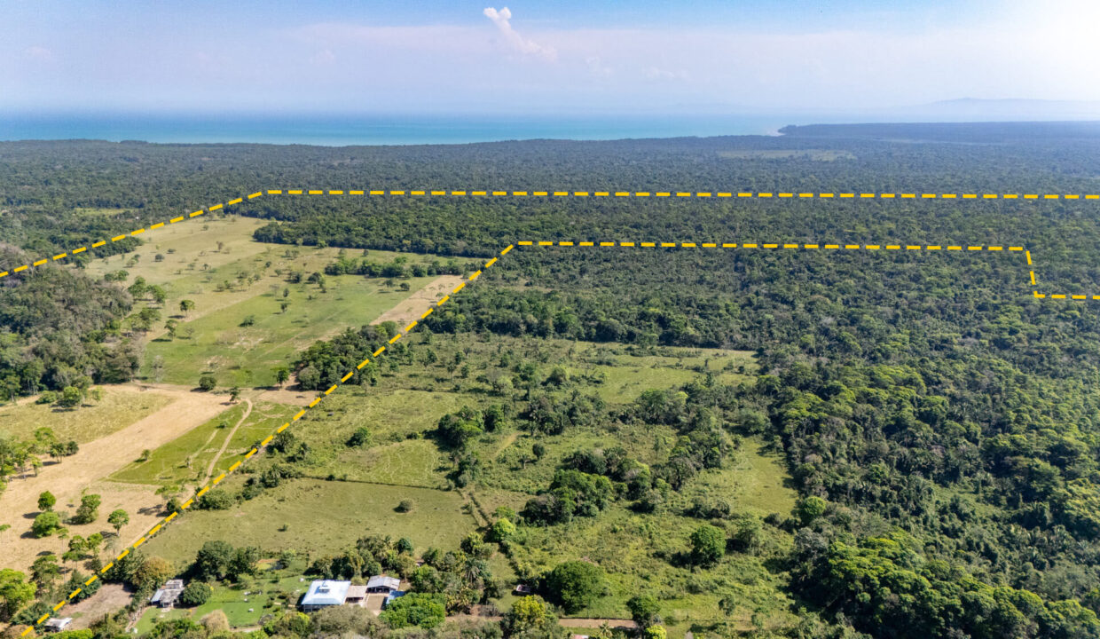 47020Acre20Cattle20Ranch20Punta20Gorda20Toledo20Belize2005