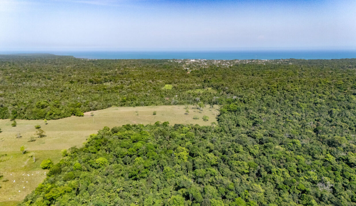 47020Acre20Cattle20Ranch20Punta20Gorda20Toledo20Belize2007