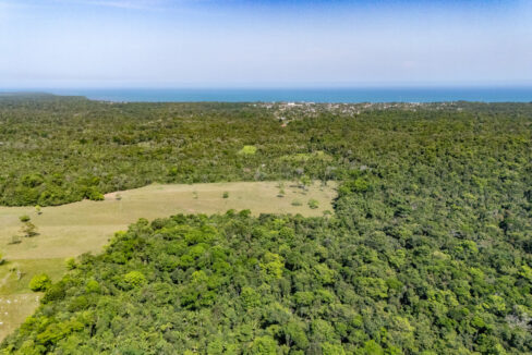 47020Acre20Cattle20Ranch20Punta20Gorda20Toledo20Belize2007