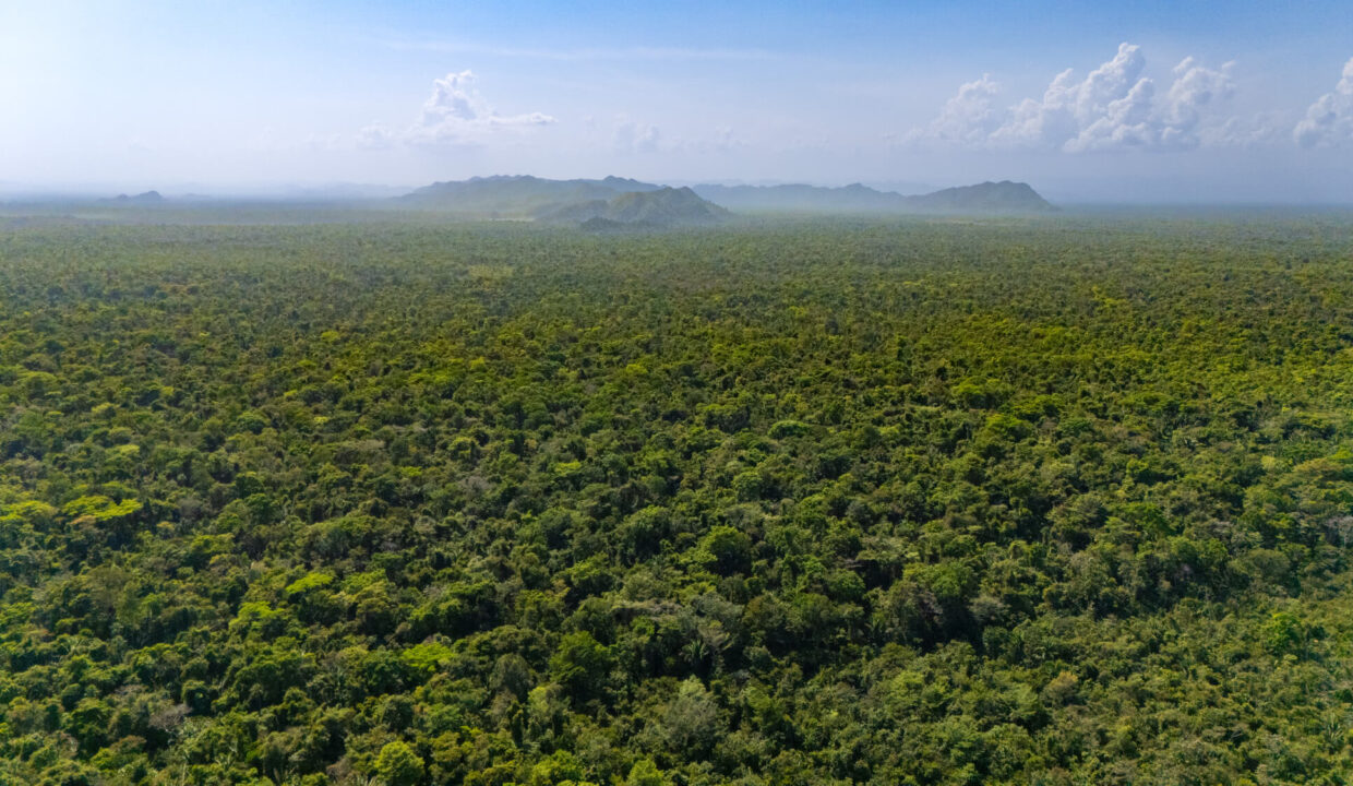 47020Acre20Cattle20Ranch20Punta20Gorda20Toledo20Belize2008