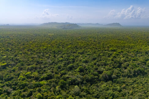47020Acre20Cattle20Ranch20Punta20Gorda20Toledo20Belize2008
