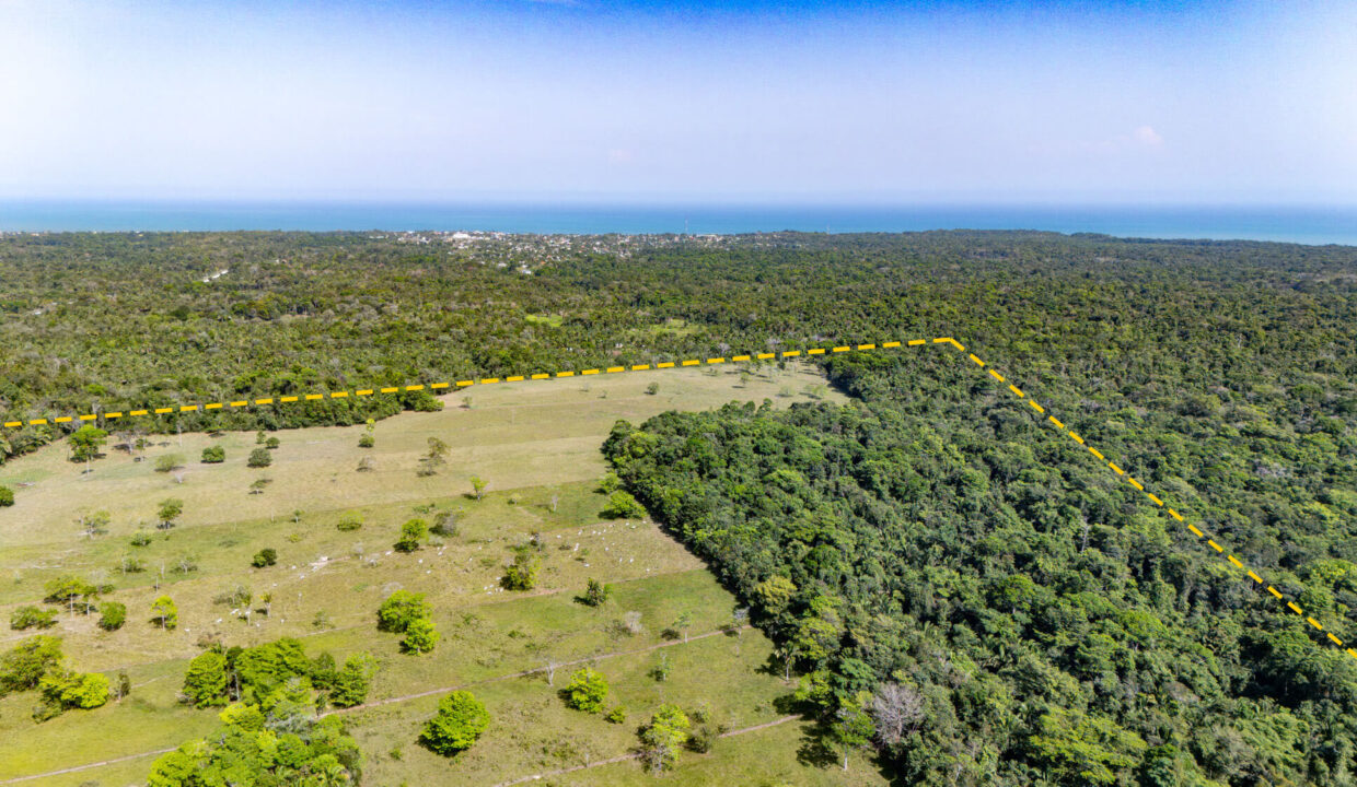 47020Acre20Cattle20Ranch20Punta20Gorda20Toledo20Belize2009