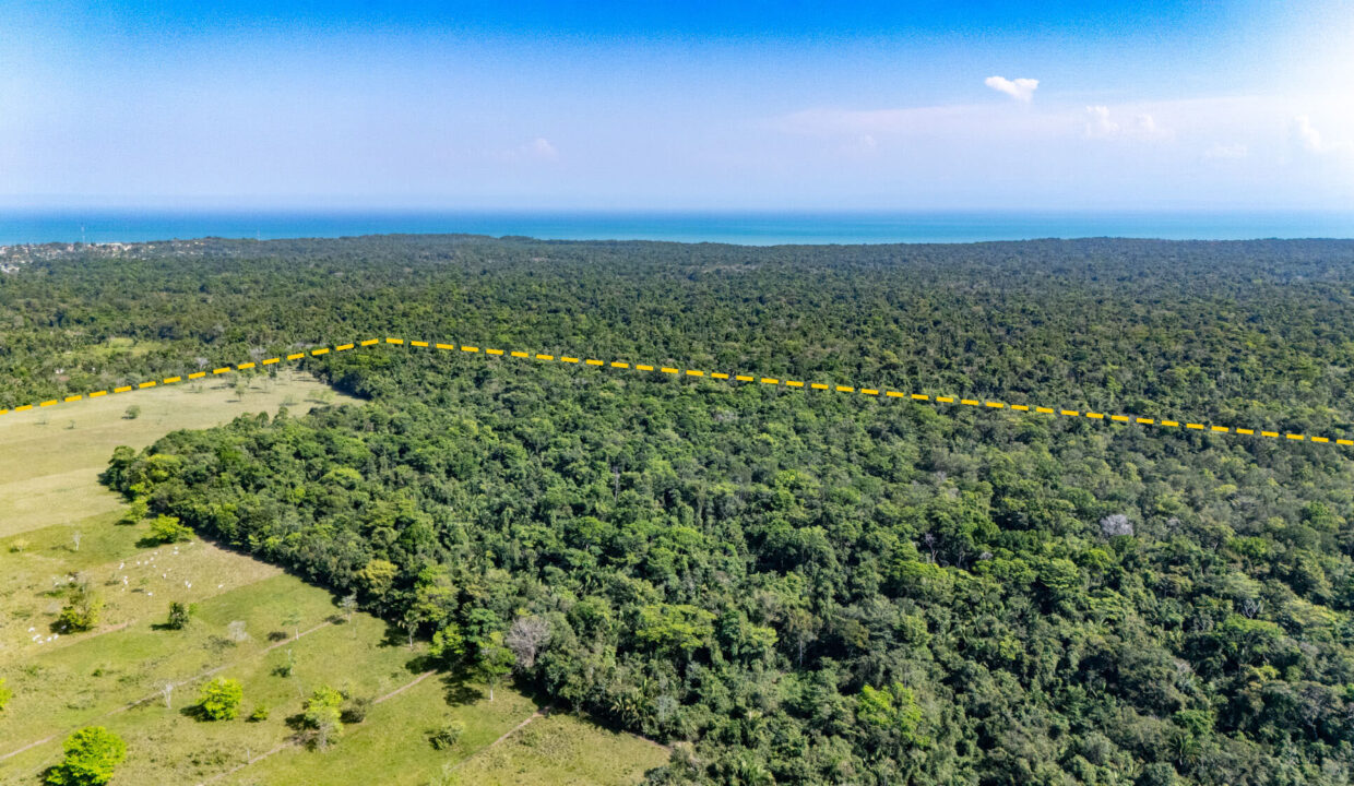 47020Acre20Cattle20Ranch20Punta20Gorda20Toledo20Belize2010