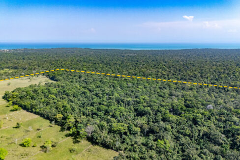47020Acre20Cattle20Ranch20Punta20Gorda20Toledo20Belize2010