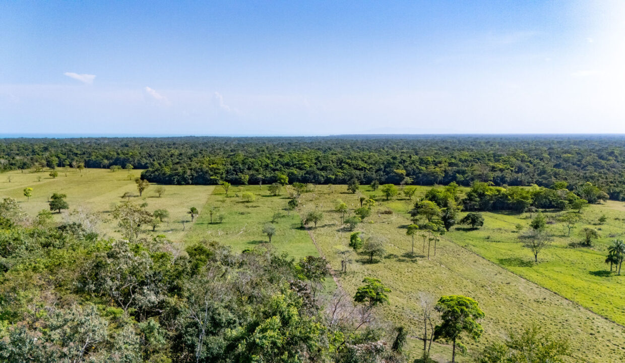 47020Acre20Cattle20Ranch20Punta20Gorda20Toledo20Belize2011