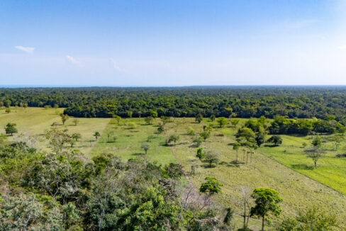 47020Acre20Cattle20Ranch20Punta20Gorda20Toledo20Belize2011