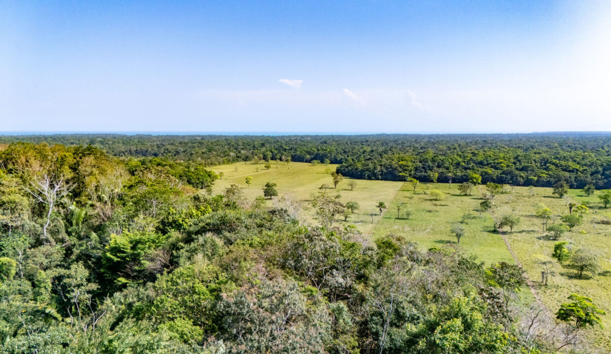 47020Acre20Cattle20Ranch20Punta20Gorda20Toledo20Belize2012