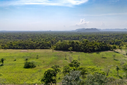 47020Acre20Cattle20Ranch20Punta20Gorda20Toledo20Belize2013