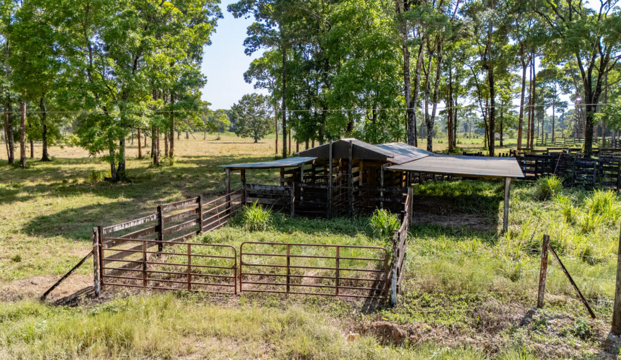 47020Acre20Cattle20Ranch20Punta20Gorda20Toledo20Belize2019