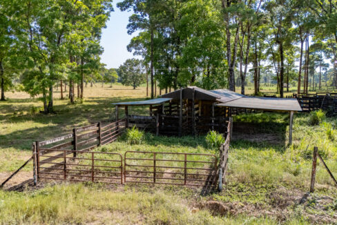 47020Acre20Cattle20Ranch20Punta20Gorda20Toledo20Belize2019