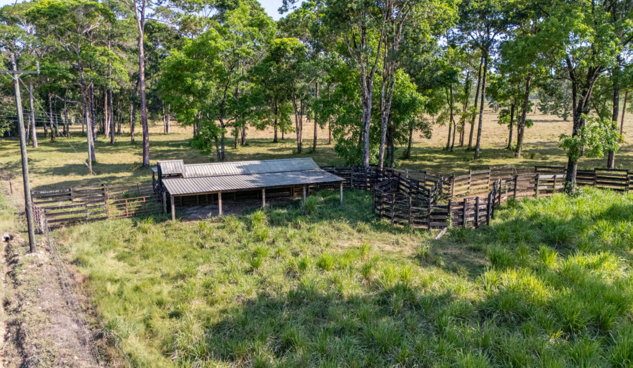 47020Acre20Cattle20Ranch20Punta20Gorda20Toledo20Belize2021