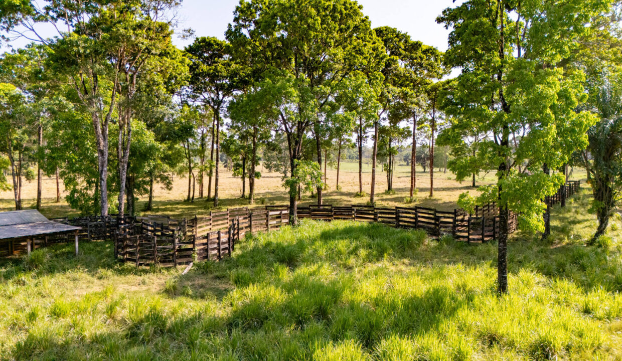 47020Acre20Cattle20Ranch20Punta20Gorda20Toledo20Belize2022