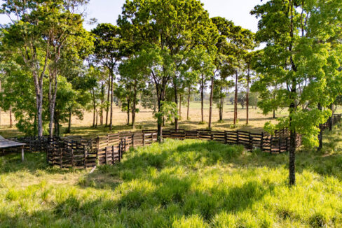 47020Acre20Cattle20Ranch20Punta20Gorda20Toledo20Belize2022