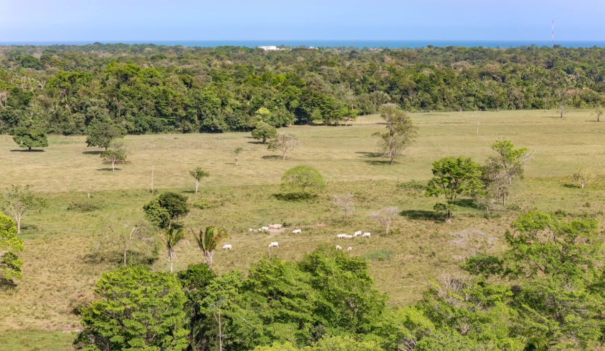 47020Acre20Cattle20Ranch20Punta20Gorda20Toledo20Belize2029