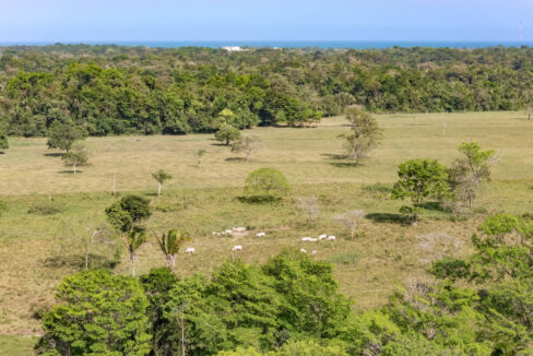 47020Acre20Cattle20Ranch20Punta20Gorda20Toledo20Belize2029