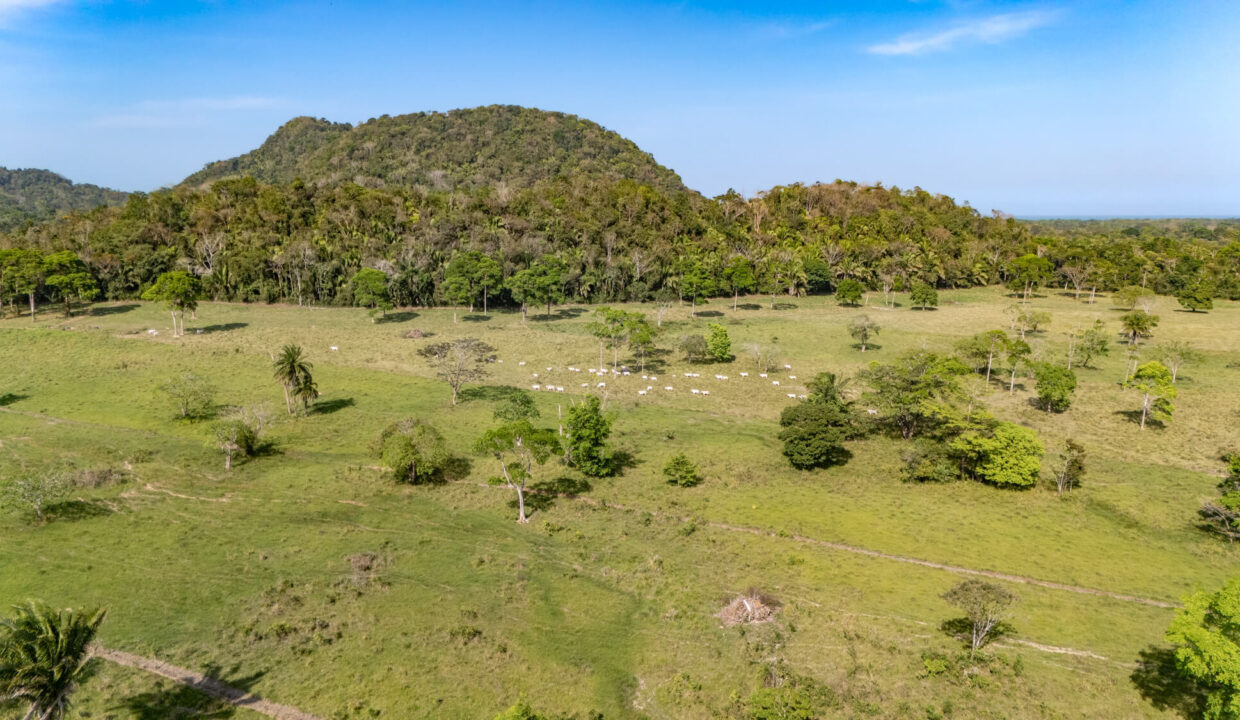 47020Acre20Cattle20Ranch20Punta20Gorda20Toledo20Belize2030