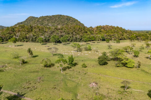 47020Acre20Cattle20Ranch20Punta20Gorda20Toledo20Belize2030