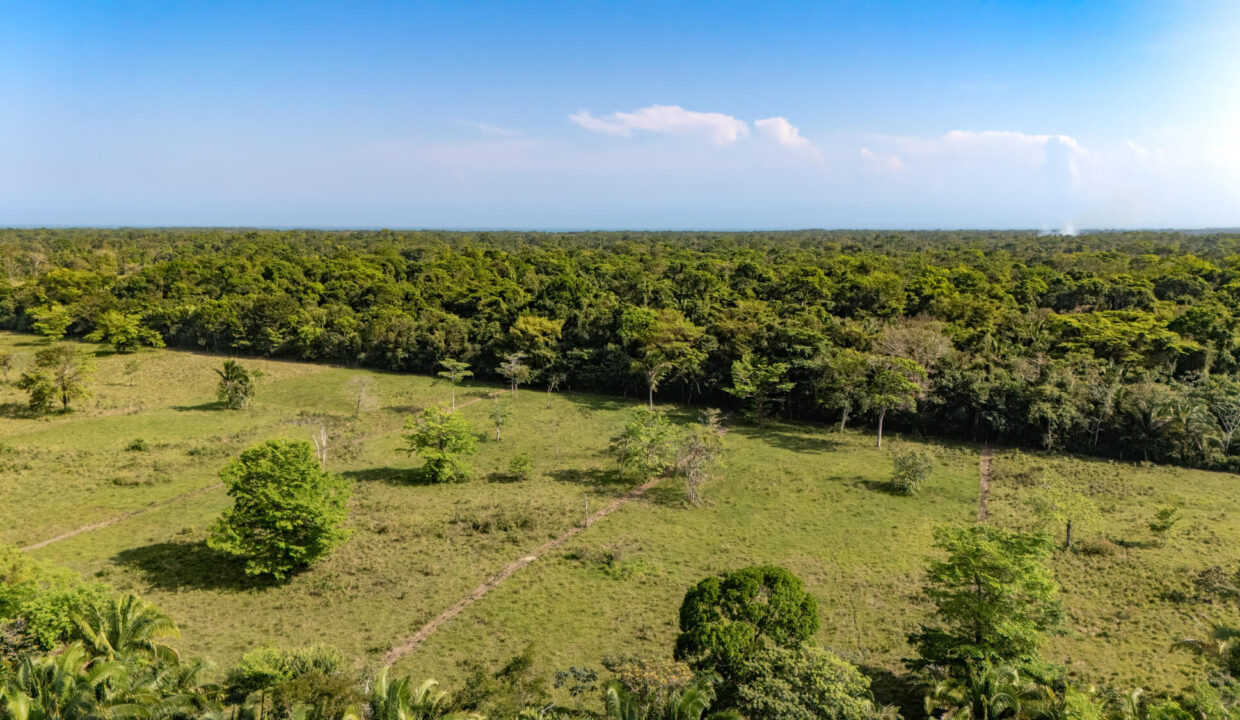 47020Acre20Cattle20Ranch20Punta20Gorda20Toledo20Belize2035